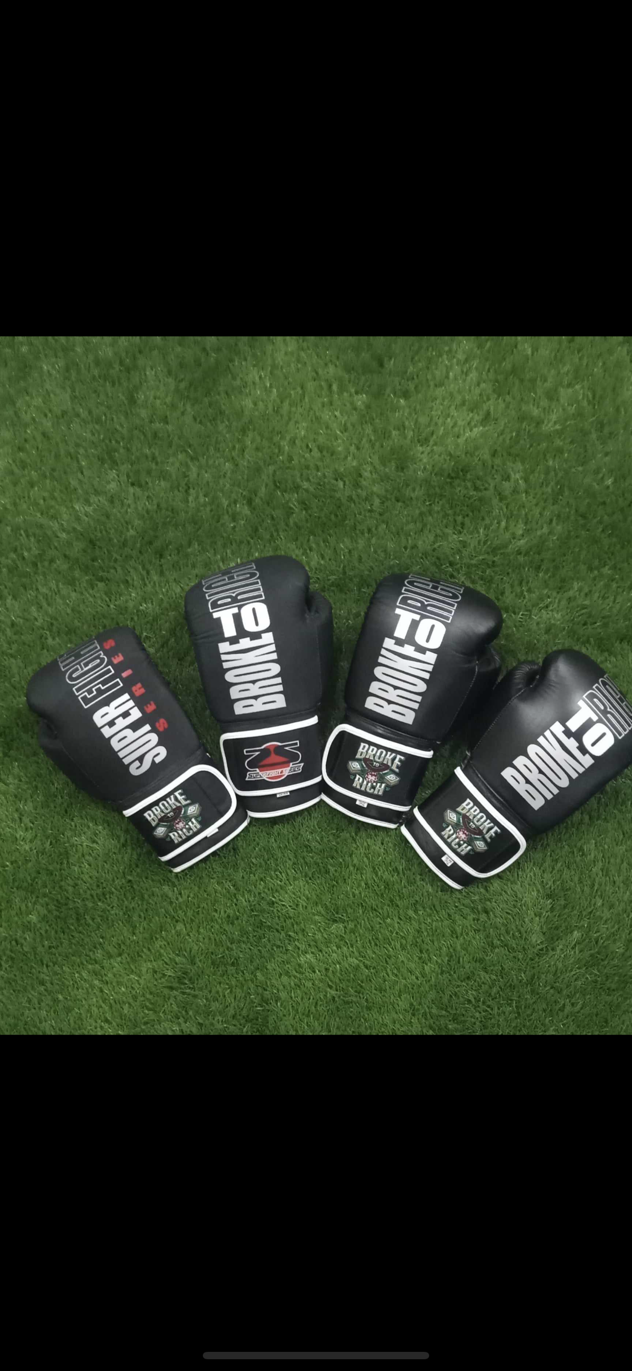 BTR Boxing Gloves